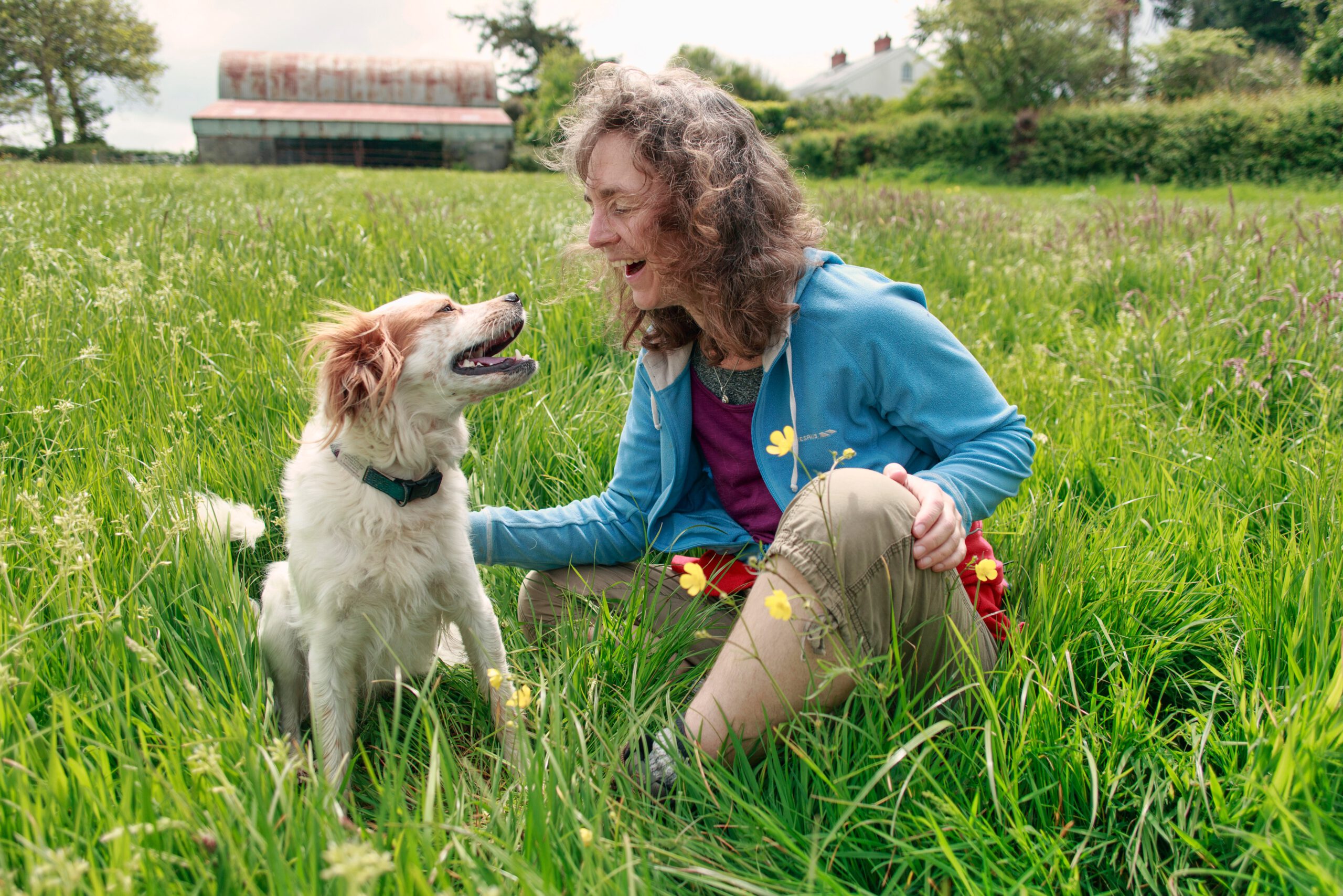 Heldenhunde-Community