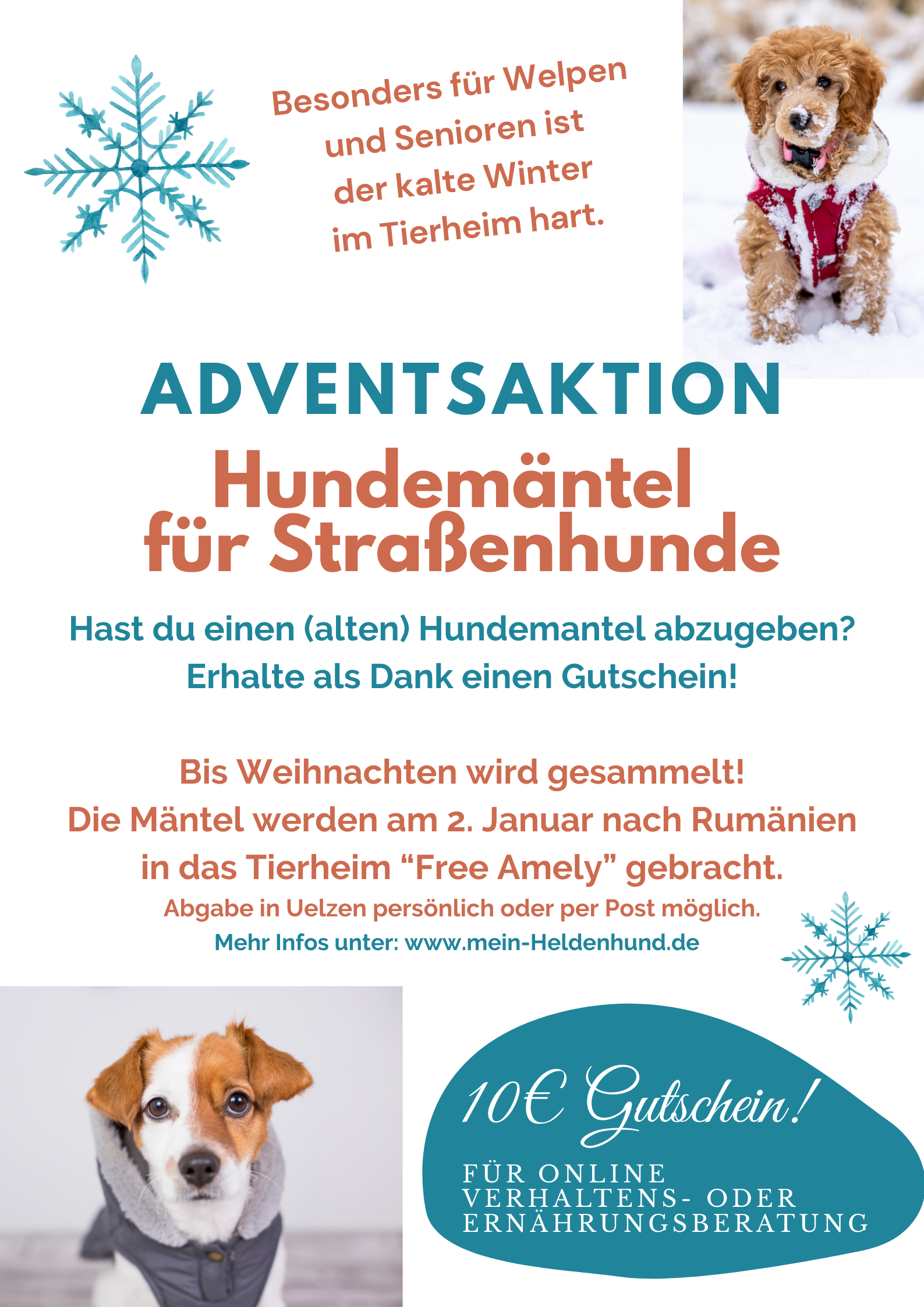 Adventsaktion Hundeschule – 1