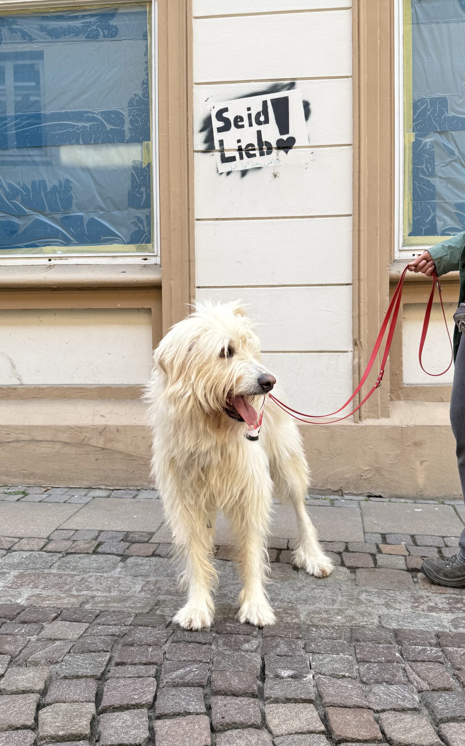 Heldenhunde-Community