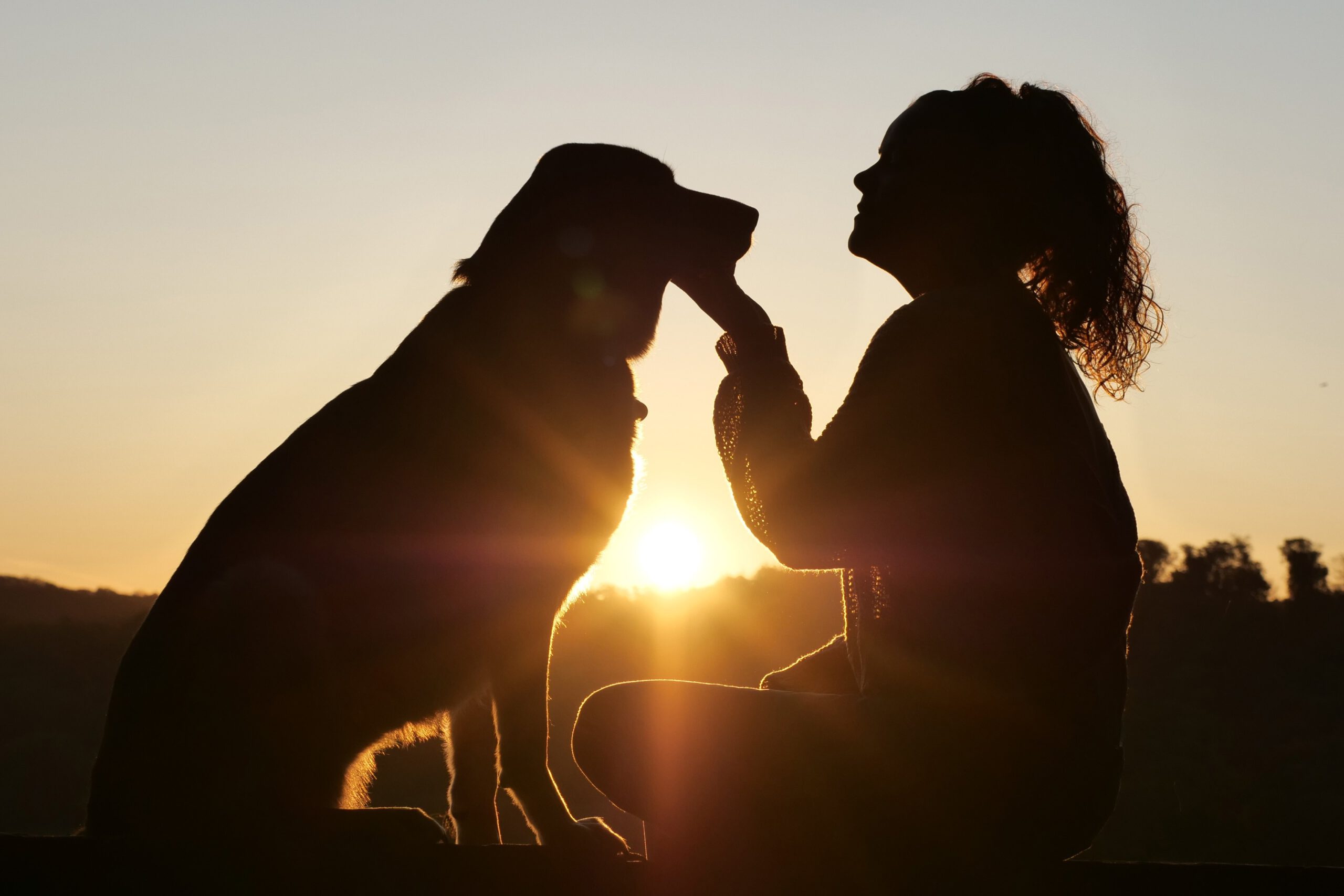 Verhaltenstherapie